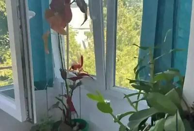 Inchiriez apartament 2 camere - 5