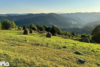 Teren de 17278 mp, în Horea - 7