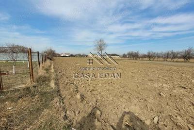 Casa in Filipesti de Targ,--70.000e - 10