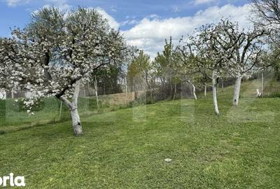 Casă cu 5 camere cu Teren 1022 Mp în Șieu - 4