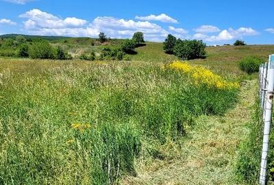 Teren Intravilan Podul Olt - 3