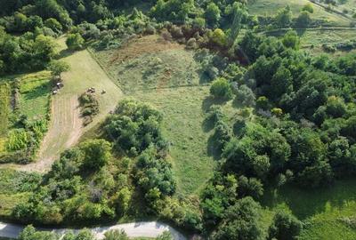 Teren Construcții intravilan de 16500 mp, în Măgureni - 4