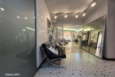 Design Studio in Herastrau - 2