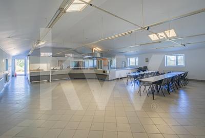 Proprietate industriala cu hale moderne, teren generos si acces Autostrada A1 Proprietate industriala cu hale moderne, teren generos si acces Autostrada A1 - 7