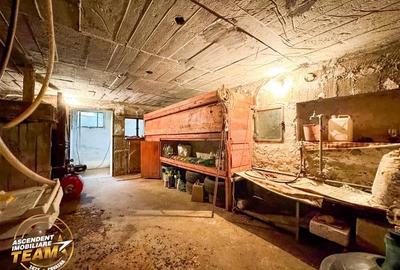 FILM! Domeniu de 1.660mp,cu doua case, atelier si anexe,Lemnia,Covasna - 35