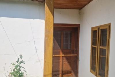 Terenuri arabile + teren intravilan cu casă – Teghea, Satu Mare Terenuri arabile + teren intravilan cu casă – Teghea, Satu Mare - 5