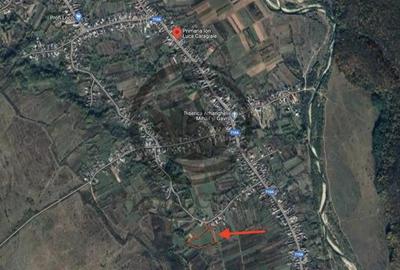 Teren de 11000 mp, în Ghirdoveni - 1