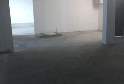 Spațiu comercial, de 17 mp, în Delfinariu - 4