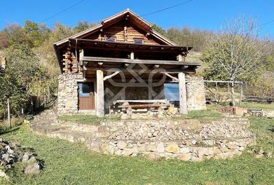 Casa de vacanta din busteni la 27 km de Oradea - 1