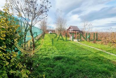 Casă P+M de vânzare – Valea Avrigului, 4 camere, teren 500 mp - 21