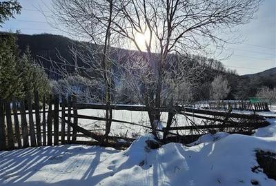 Teren Construcții intravilan de 3200 mp, în Est - 3