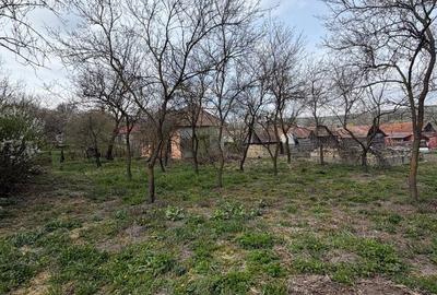 Casă cu 2 camere cu Teren 2400 Mp în Chinteni - 3