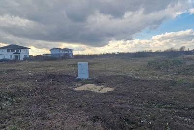 Spațiu comercial, în Moșnița Nouă