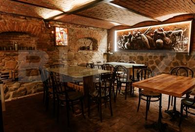 Conac de vanzare 7 camere cu bai proprii, crama, ciubar si potential - 18