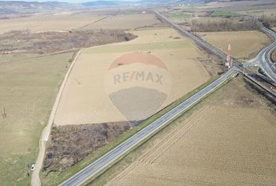 Teren de 19319 mp, în Hoghilag - 4