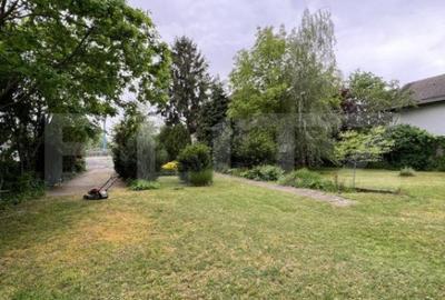 Casă cu 5 camere cu Teren 3000 Mp în Botizului - 4