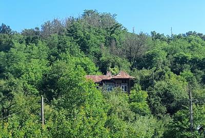 Casă cu 3 camere în Crivățu - 8