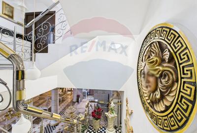 Casă individuală cu 8 camere cu Piscina în Matei Voievod - 26