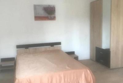 Casă cu 5 camere cu Teren 4900 Mp în Valea Ursoii - 10