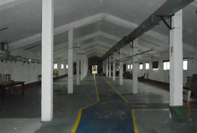 Hala de inchiriat in Aradul Nou - 6
