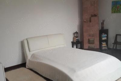 Casă cu 6 camere cu Teren 298 Mp în Corabia - 9