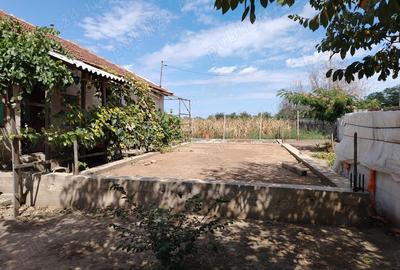 Casa de vanzare in sat LANURILE - 1