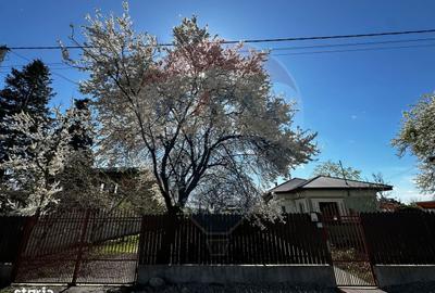 Casă cu 3 camere cu Teren 1000 Mp în Răcari - 11