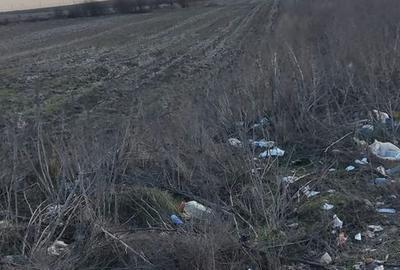 Teren Construcții intravilan de 12000 mp, în Sud-Est - 2