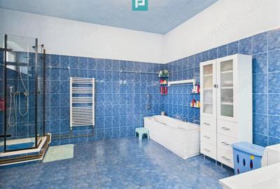 Casa individuala cu teren, Andrei ?aguna -Traian - 33