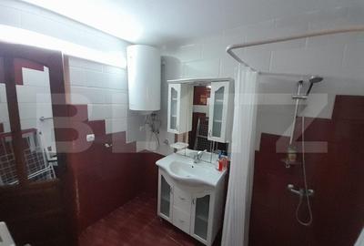 Cabana agrement, 3 camere, 100mp, Exterior Sud - 13