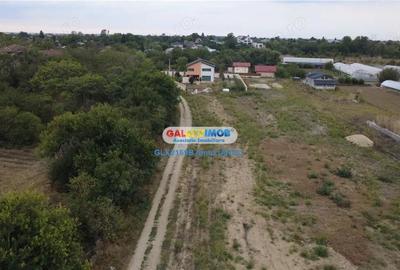 Casa Lux Mihailesti 6 Camere 300 m.p. Casa Lux Mihailesti 6 Camere 300 m.p. - 7