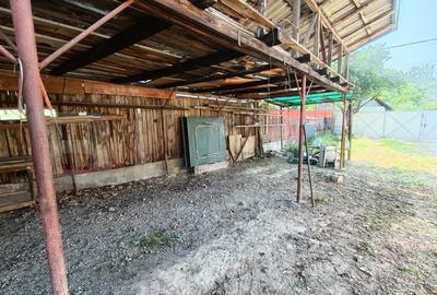 Casă cu 2 camere cu Teren 3350 Mp în Aghireș - 16