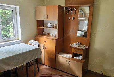 Casa de vanzare, com. Maracineni, sat Potoceni, jud. Buzau - 2