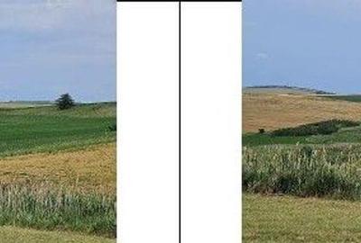 Teren Extravilan Aroneanu, ID: R2577828 - 3