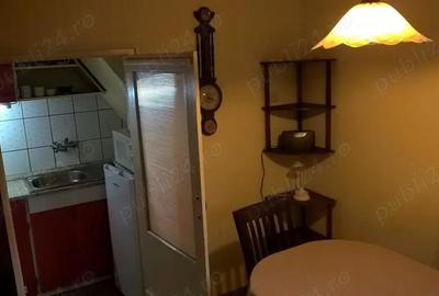 Casă cu 5 camere cu Teren 767 Mp în Buziașului - 3