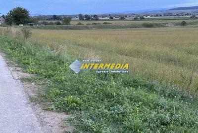 Teren de 2300 mp, în Mereteu - 1