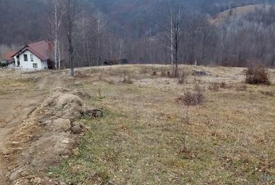 Teren de 10000 mp, în Lepșa
