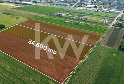 Teren intravilan 34.640 mp Stupini, str. Baciului-Luncii - 3