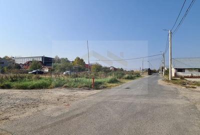 Teren Otopeni 300 mp - 2