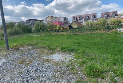 Spațiu comercial, în Petru Rareș - 10