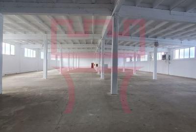 Spațiu industrial, 210 mp în Someșeni - 9
