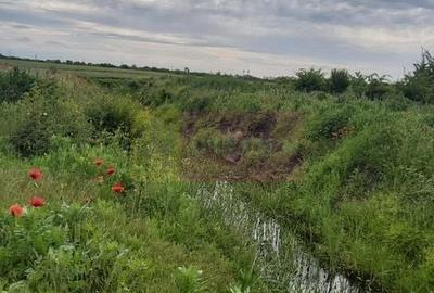 Teren agricol intravilan de 9974 mp, în Corbeanca - 3