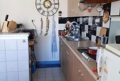 Casă cu 2 camere în Sintea Mare - 6