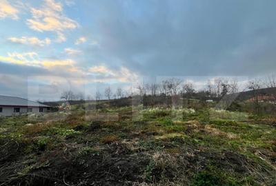 Casa 3 camere, 143 mp, comuna Chiuza, 36 ari teren - 16