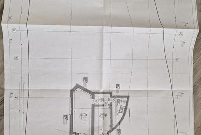 Cartier Herăstrău, Vilă, 10 camere, confort lux, Curte, Sală de Sport - 12