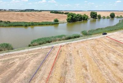 Teren de 6500 mp, în Frumușani - 5