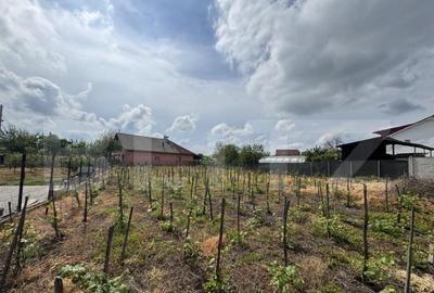 Teren intravilan 1.342 mp Filia?i, parcelabil, ideal invest - 1