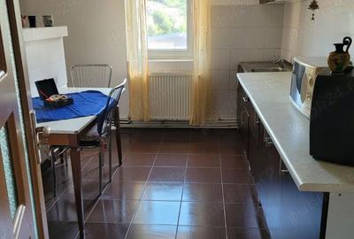 Apartament cu 3 camere decomandat în Lupac - 3