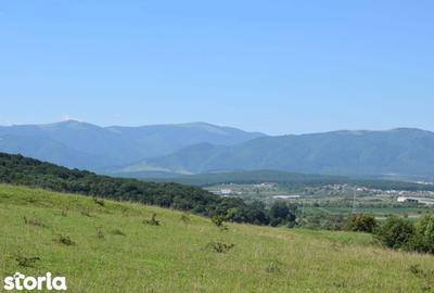 Teren de 500 mp, în Șelimbăr - 5