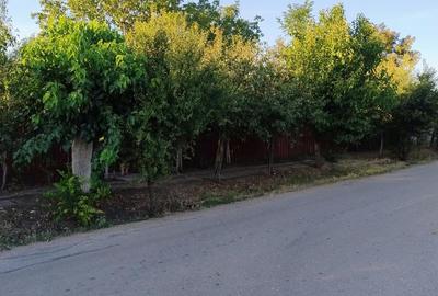 Casă cu 4 camere în Izvoarele - 2